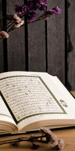 Introducing Tarteel Online