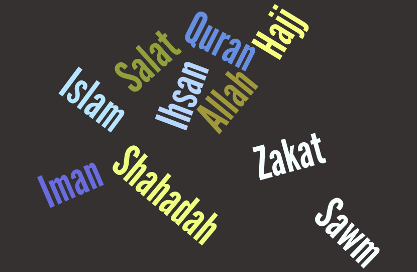 What Do Muslims Believe?